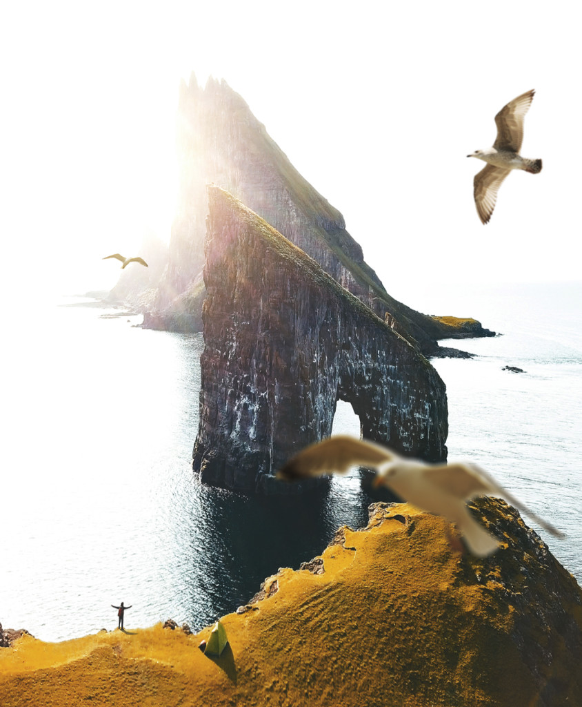 stills_faroe_seagull